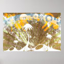 Florida posters