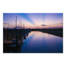Florida Rays of Sunshine Photo Print