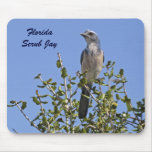 Florida Scrub Jay mousepads