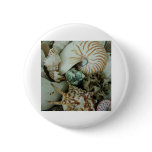 Florida Sea Shells buttons