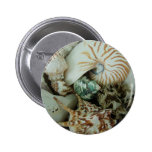 Florida Sea Shells Buttons