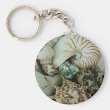 Florida Sea Shells Key Chains