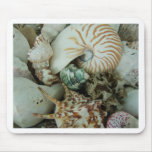 Florida Sea Shells Mouse Mats