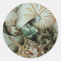 Florida Sea Shells Round Stickers