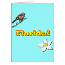 Florida State Card