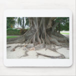 Florida State Champion Mysore Fig Tree Roots mousepads