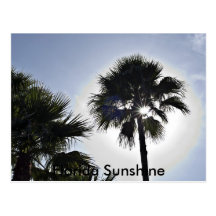 Florida Sunshine Postcard