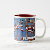 FLORIDA , SUNSHINE STATE MUGS