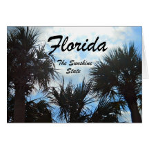 Florida, the Sunshine State Greeting Cards
