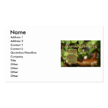 Florida Tree Frog Design with explanation text Business Card