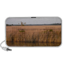 Florida Wetland Doodle Speaker