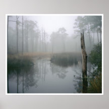 Florida Wetland, Navarre Poster