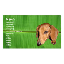 floridatrip 067, crockettapplication, Name, Add... Business Card