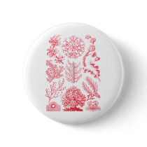 Florideae Pins