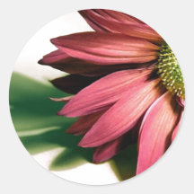 Florist or Landscape Round Stickers