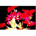 flor'l pin photo sculptures