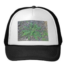 Flourishing weeds mesh hat