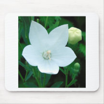 Flower93b Mousepads