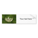 Flower  10 bumper stickers