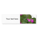 Flower  12 bumper stickers
