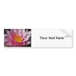 Flower  1 bumper stickers