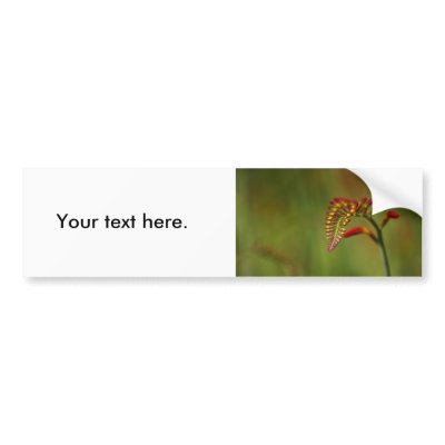 Flower  2 bumper sticker by Flowerpixels