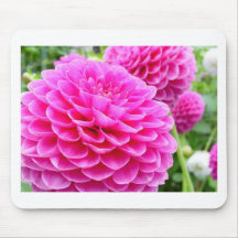 Flower 51A Dahlia Pink Magenta Mouse Pad