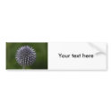 Flower  6 bumper stickers
