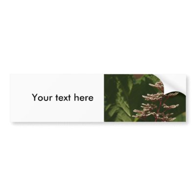 Flower  8 bumper stickers by Flowerpixels