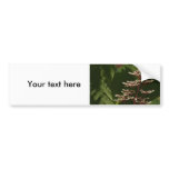 Flower  8 bumper stickers