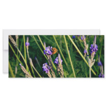 Flower and Bee Customized Rack Card