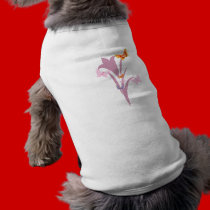 Flower and Butterflies pet clothing