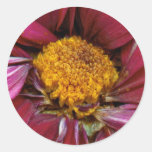 Flower - At the centre of it all Sticker