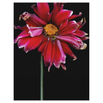 Flower - Bad hair day Personalised Flyer