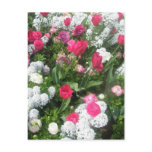 Flower Bed postcards