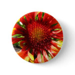flower,blanket flower pinback buttons