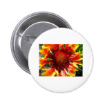flower,blanket flower button