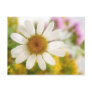 Flower Bouquet - White Daisy Post Cards