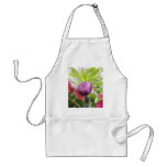 Flower Bud - Helleborus x hybridus aprons
