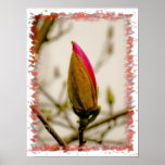 Flower bud poster