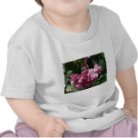 flower,bugenvila t-shirts