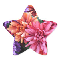 Flower Bursts
