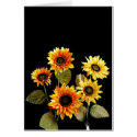 Flower cards