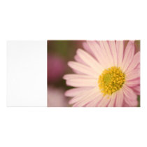 Flower card photo cards