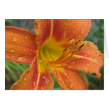 flower cards