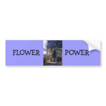 Flower Cat Bumper Stickers