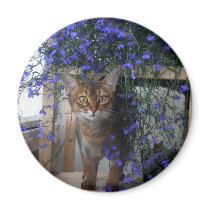 Flower Cat Refrigerator Magnets