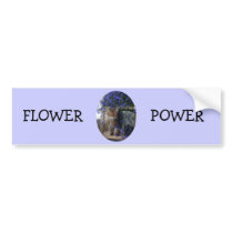 Flower Cat (oval) Bumper Sticker