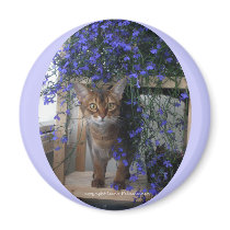 Flower Cat (oval) Refrigerator Magnet