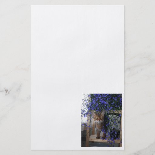 Flower Cat Personalized Flyer